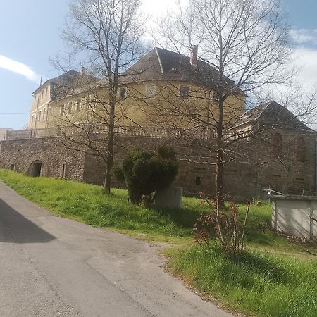 Ferienwohnung Im Rittergut Plohn 300 Meter Zum Freizeitpark Lengenfeld  ภายนอก รูปภาพ